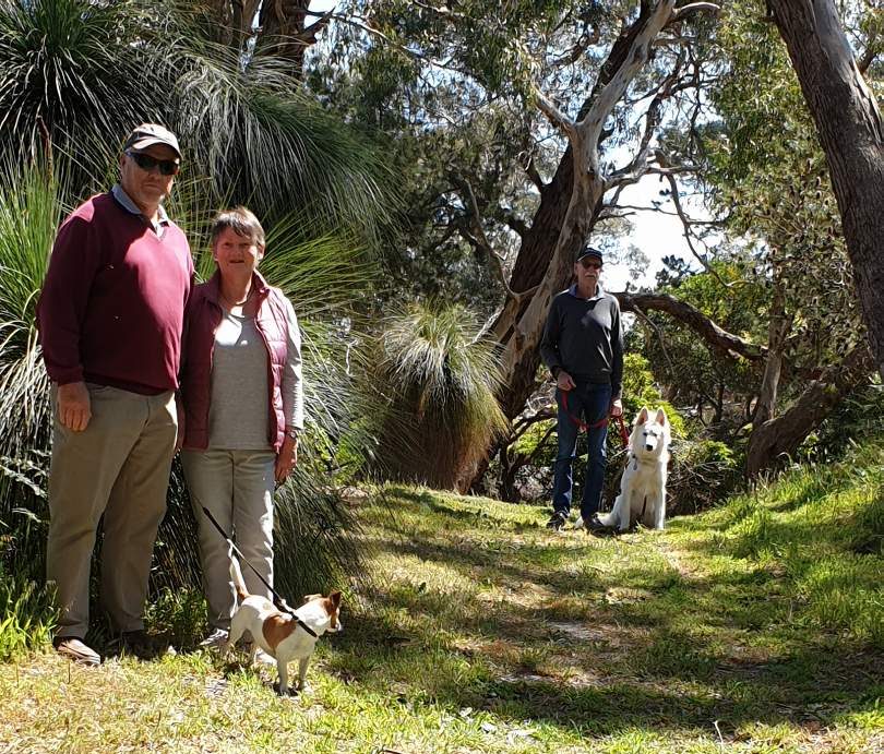 dog walking track